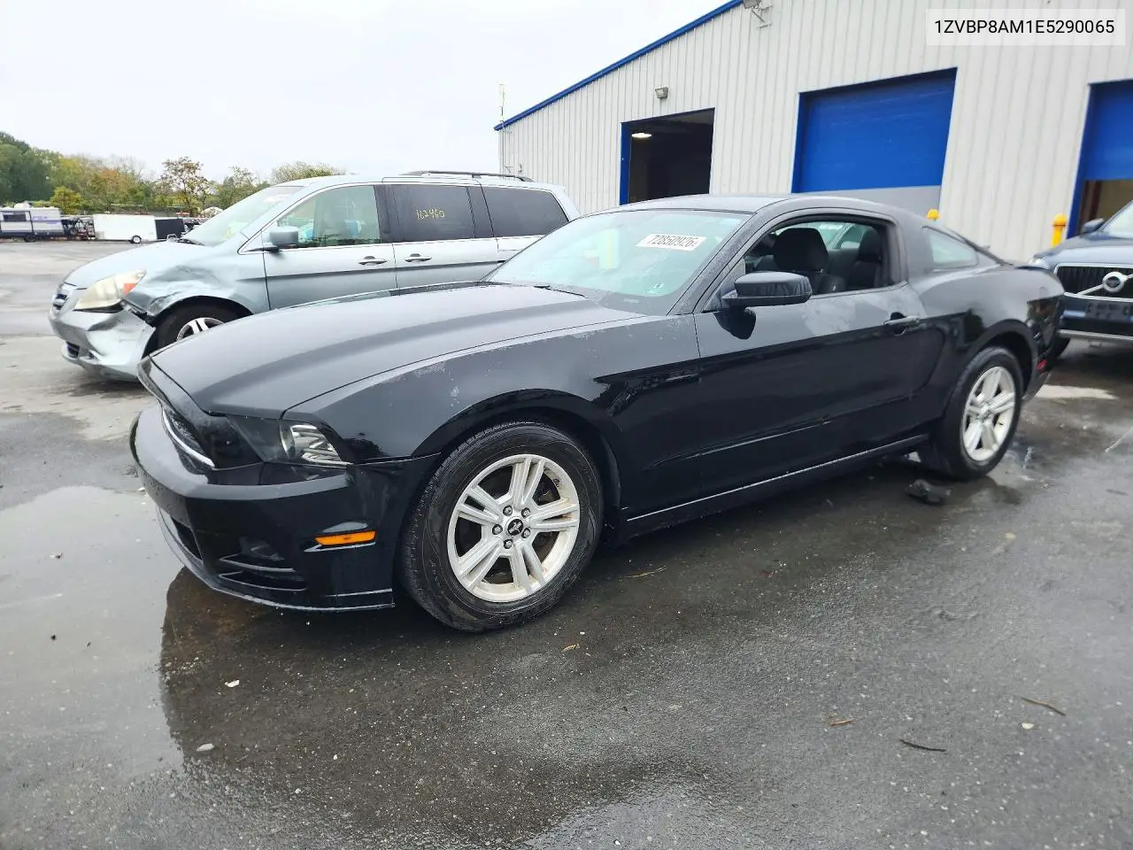 FORD MUSTANG 2014, VIN 1ZVBP8AM1E5290065