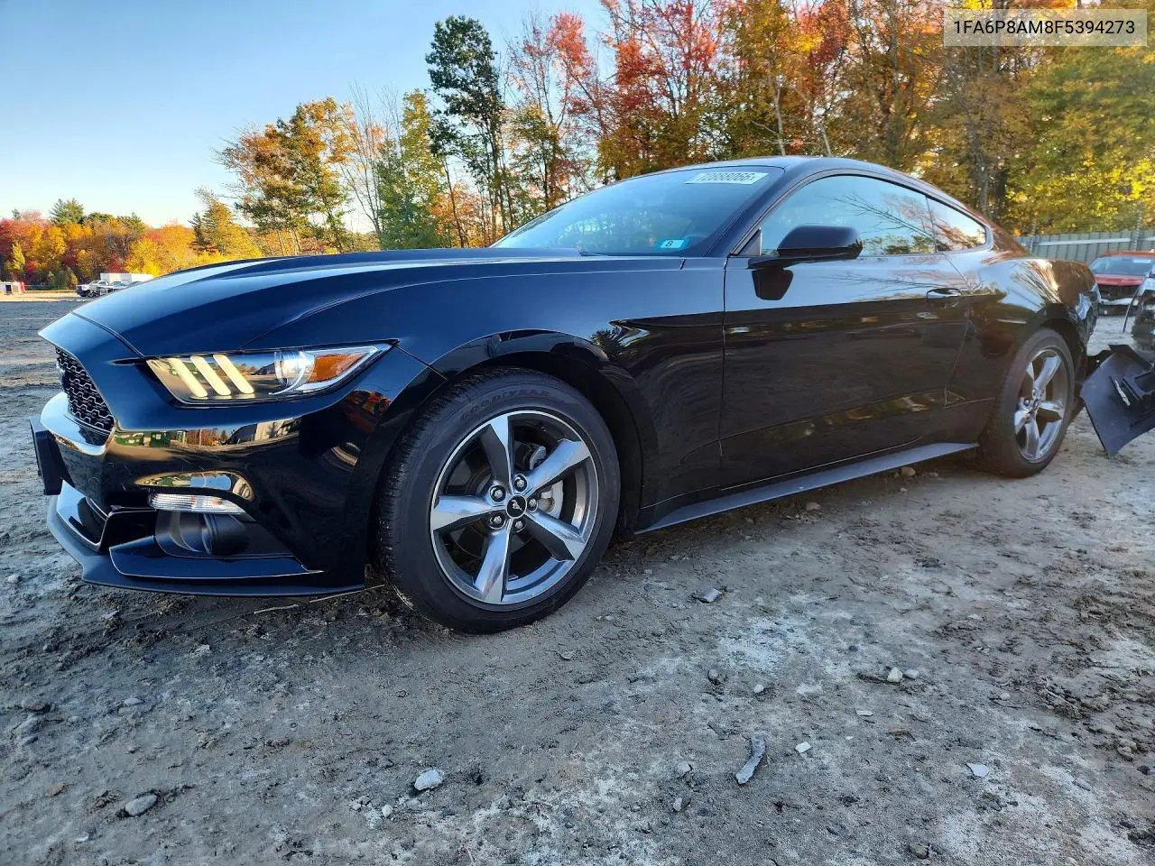 FORD MUSTANG 2015, VIN 1FA6P8AM8F5394273