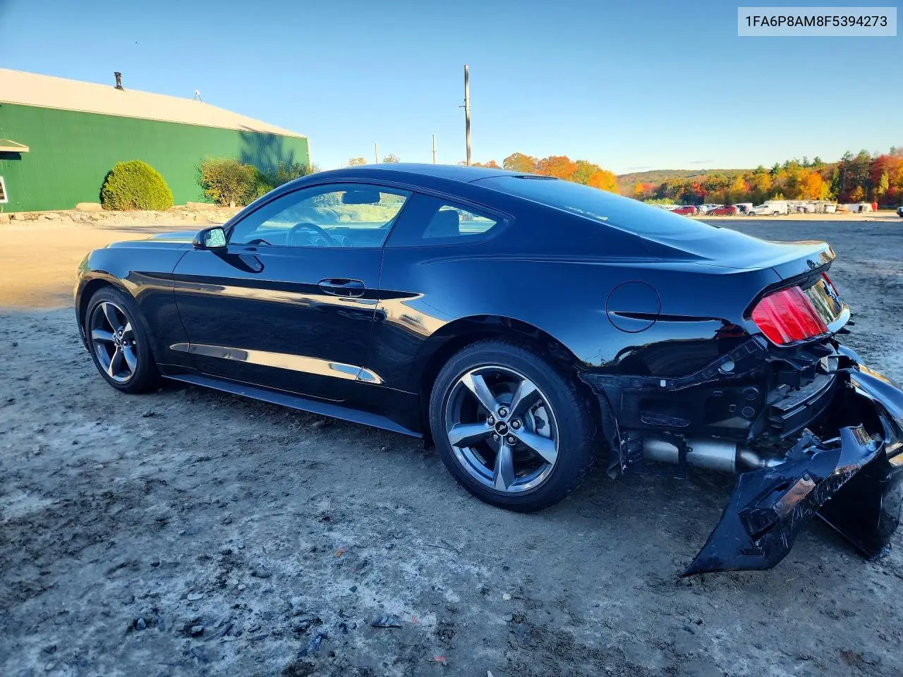 2015 FORD MUSTANG VIN 1FA6P8AM8F5394273 — фото 2