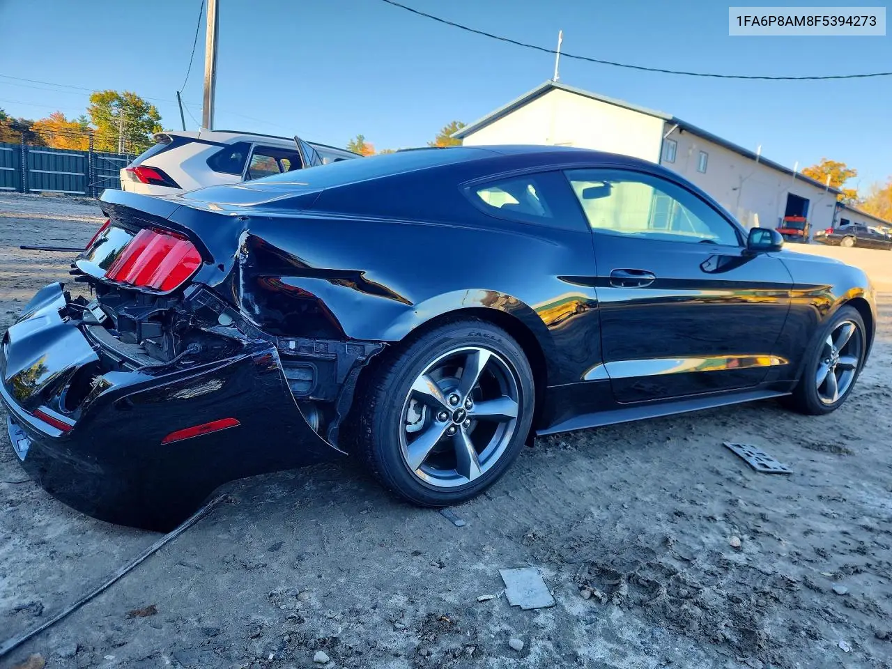 2015 FORD MUSTANG VIN 1FA6P8AM8F5394273 — фото 3