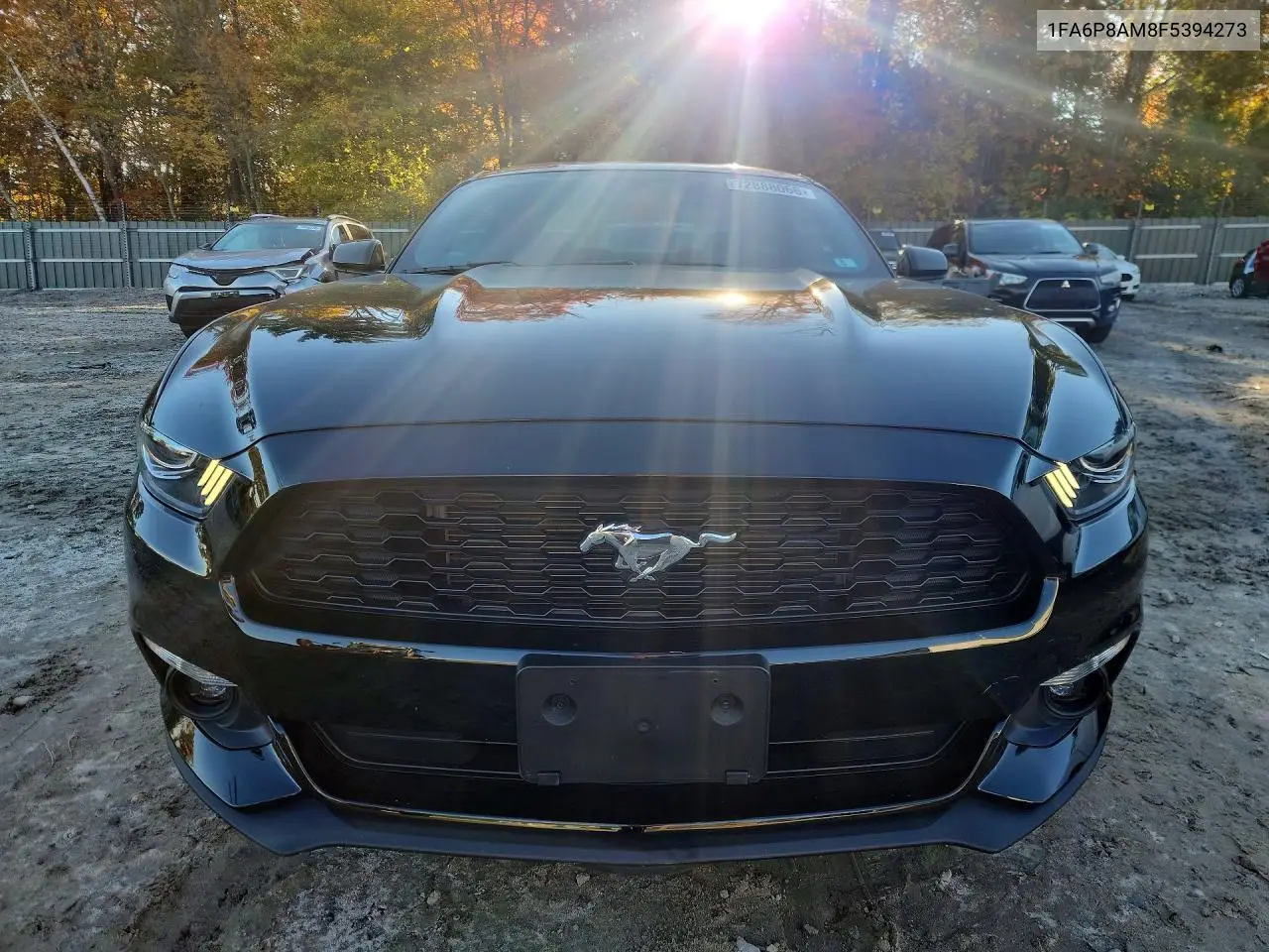 2015 FORD MUSTANG VIN 1FA6P8AM8F5394273 — фото 5