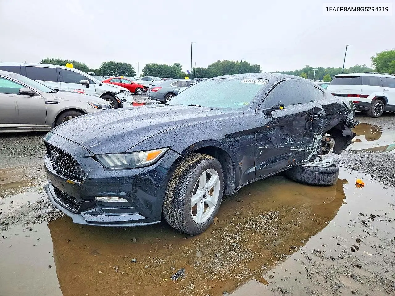 FORD MUSTANG 2016, VIN 1FA6P8AM8G5294319