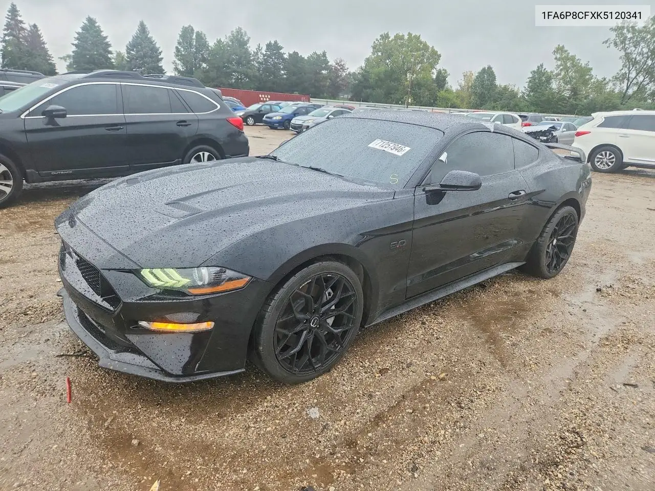 FORD MUSTANG 2019, VIN 1FA6P8CFXK5120341