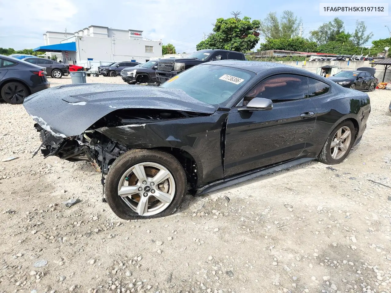 FORD MUSTANG 2019, VIN 1FA6P8TH5K5197152