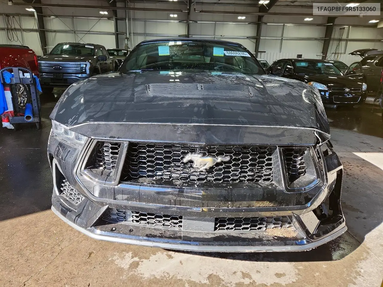 2024 FORD MUSTANG VIN 1FAGP8FF9R5133060 — фото 5