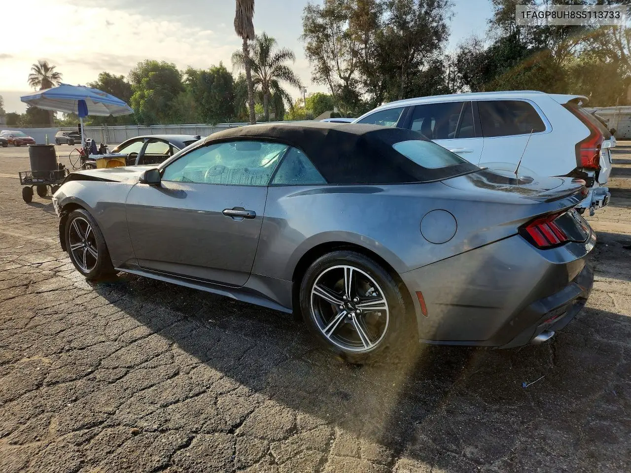 2025 FORD MUSTANG VIN 1FAGP8UH8S5113733 — фото 2