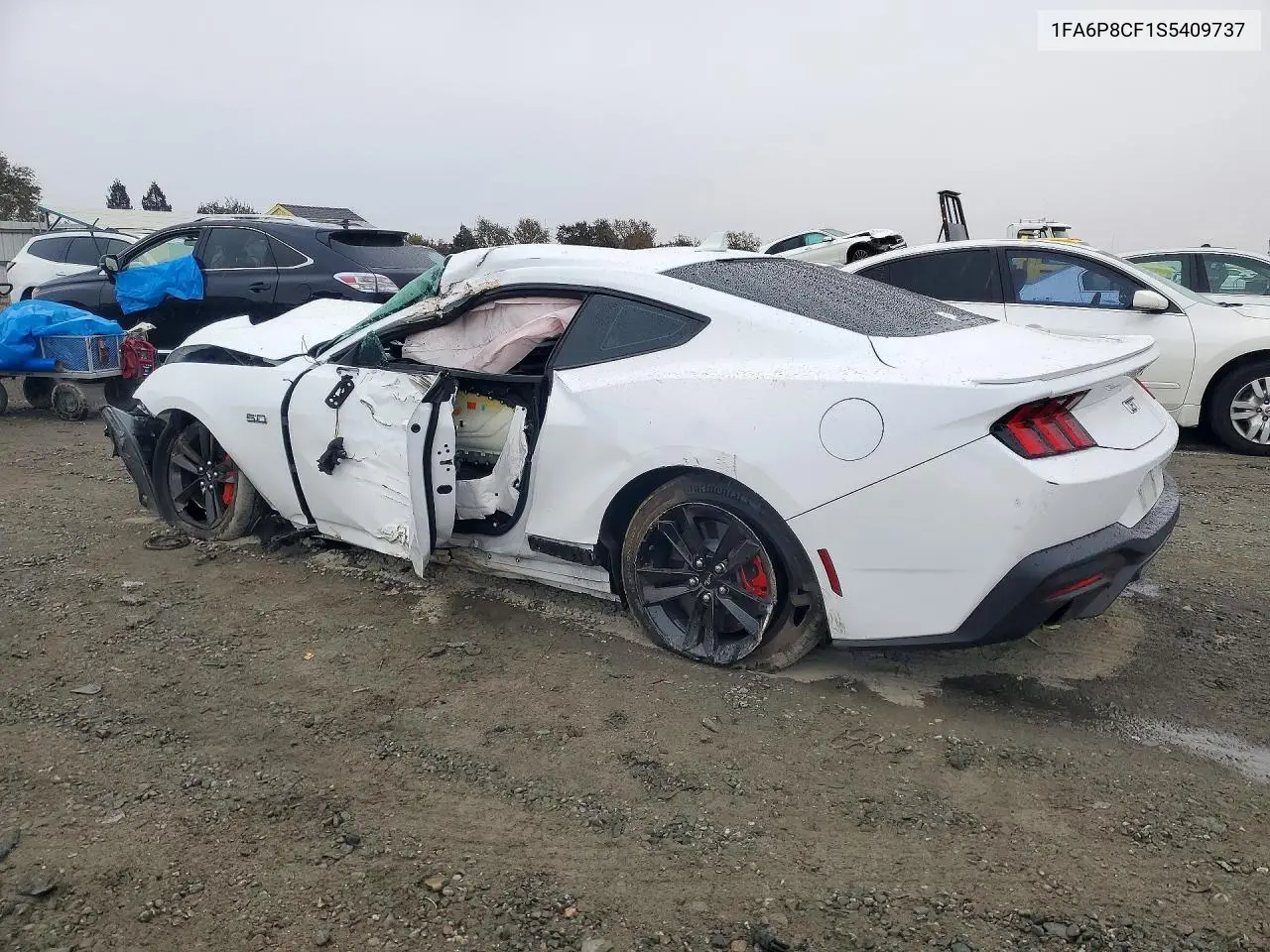 2025 FORD MUSTANG VIN 1FA6P8CF1S5409737 — фото 2