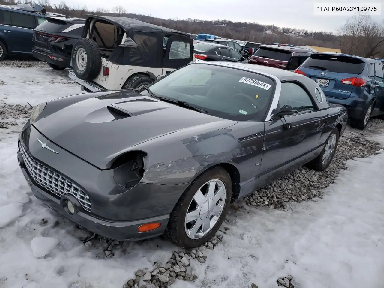 FORD THUNDERBIRD 2003, VIN 1FAHP60A23Y109775