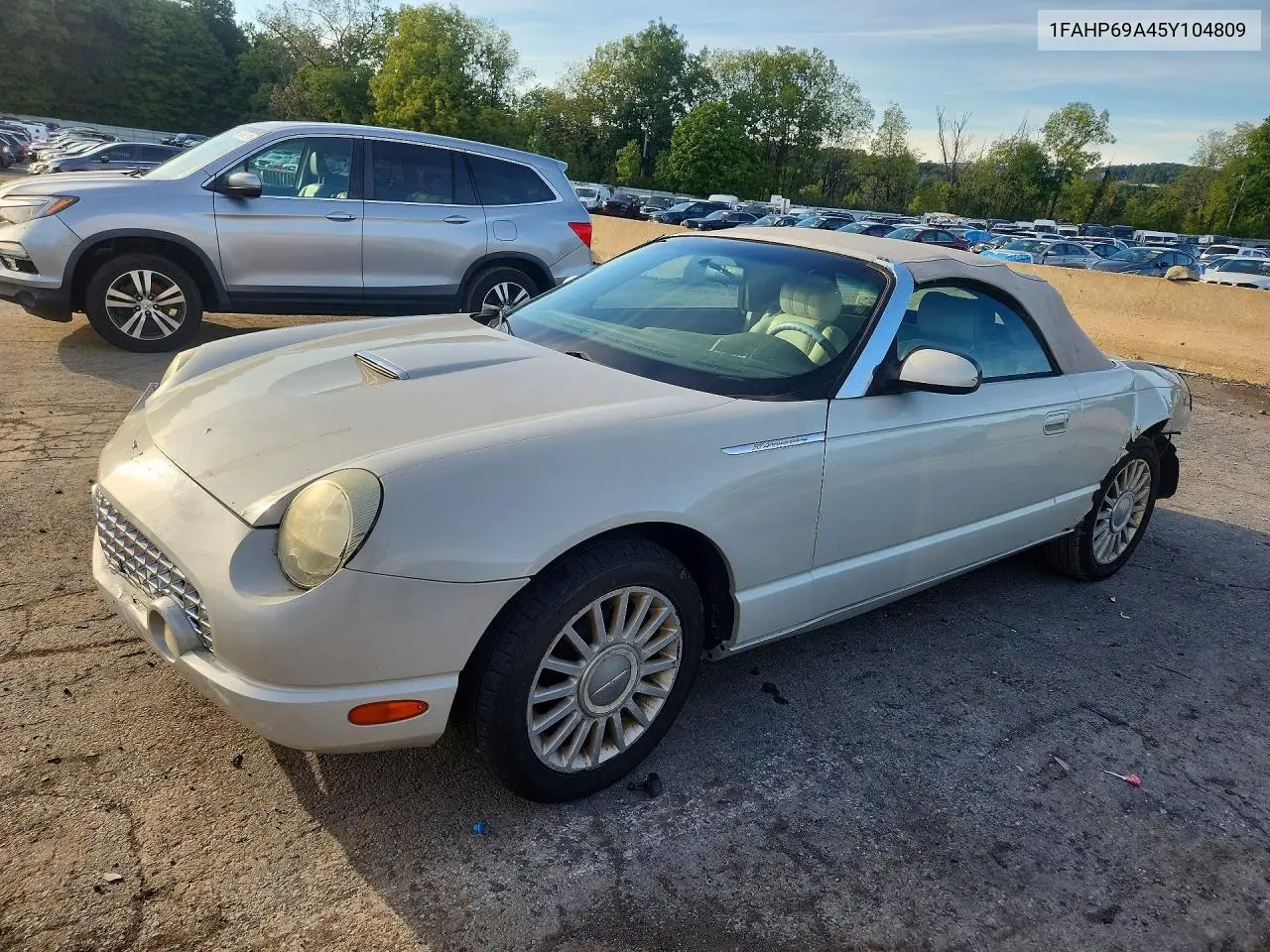 FORD THUNDERBIRD 2005, VIN 1FAHP69A45Y104809