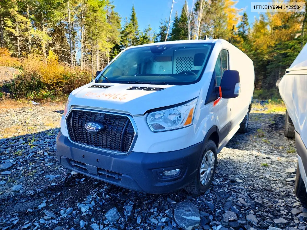 FORD TRANSIT 2021, VIN 1FTKE1Y89MKA22504
