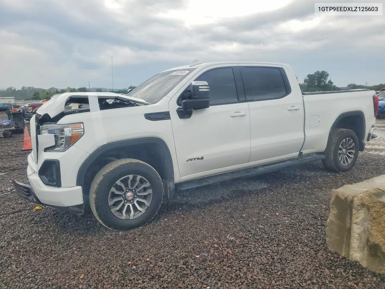 GMC SIERRA 2020, VIN 1GTP9EEDXLZ125603