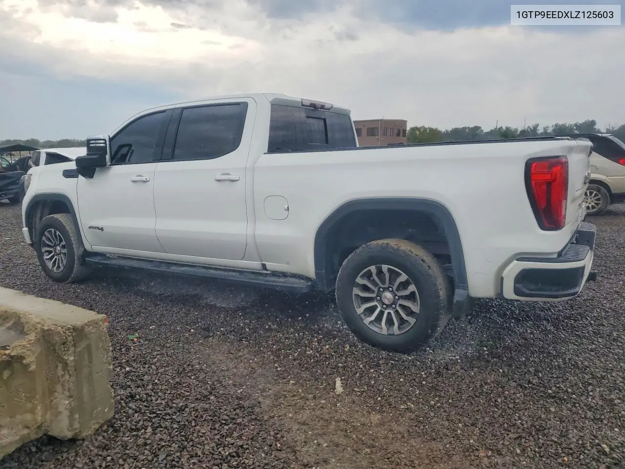 2020 GMC SIERRA VIN 1GTP9EEDXLZ125603 — фото 2