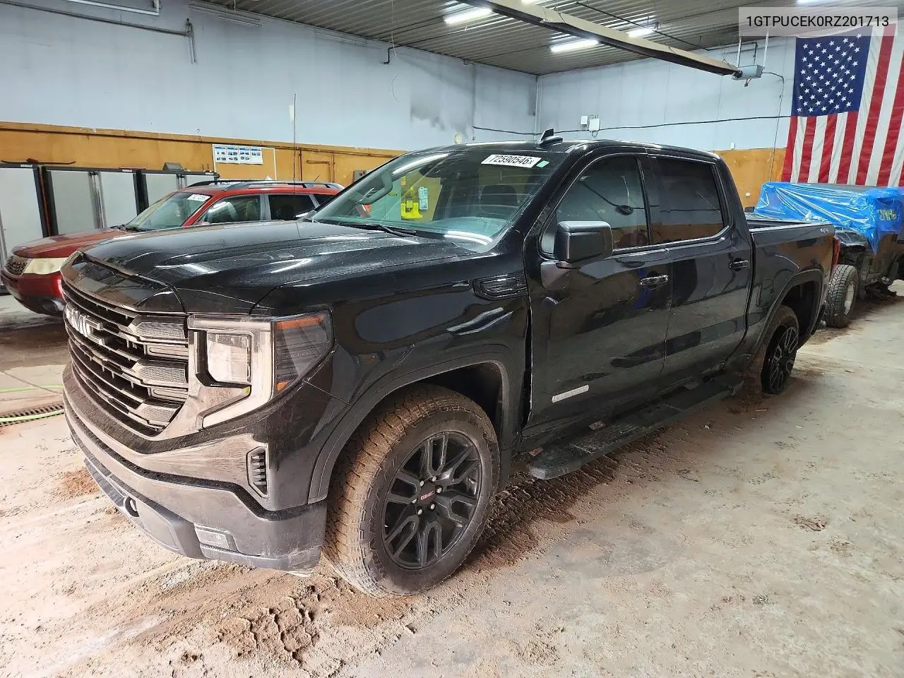 GMC SIERRA 2024, VIN 1GTPUCEK0RZ201713