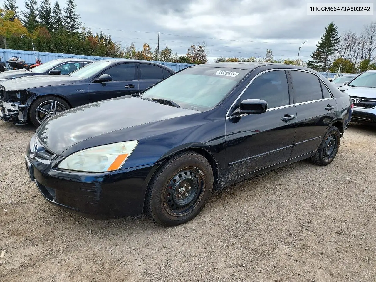 HONDA ACCORD 2003, VIN 1HGCM66473A803242