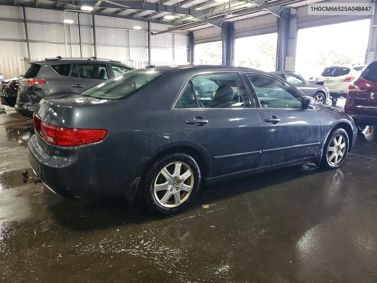 2005 HONDA ACCORD VIN 1HGCM66525A048447 — фото 3