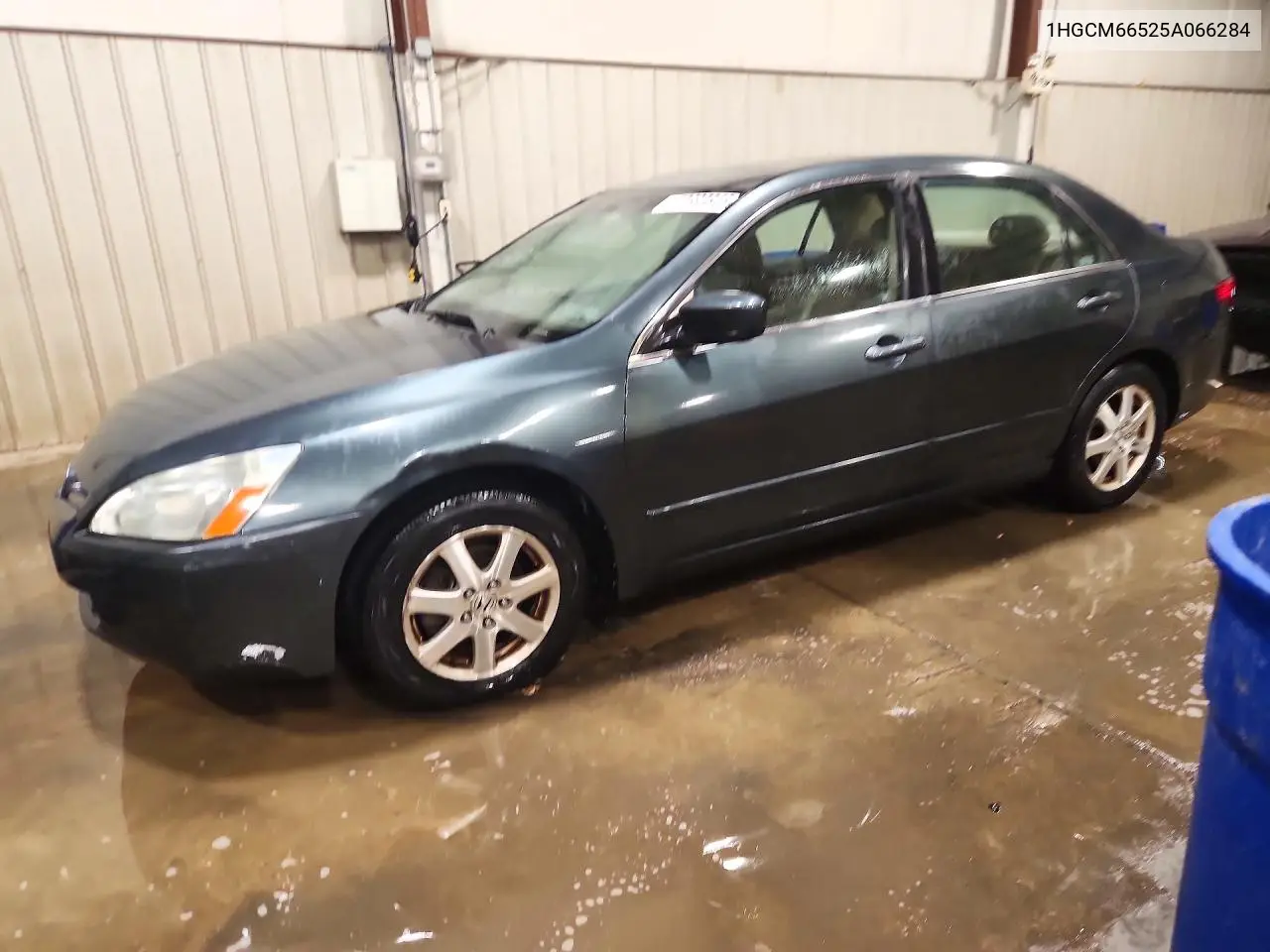 HONDA ACCORD 2005, VIN 1HGCM66525A066284
