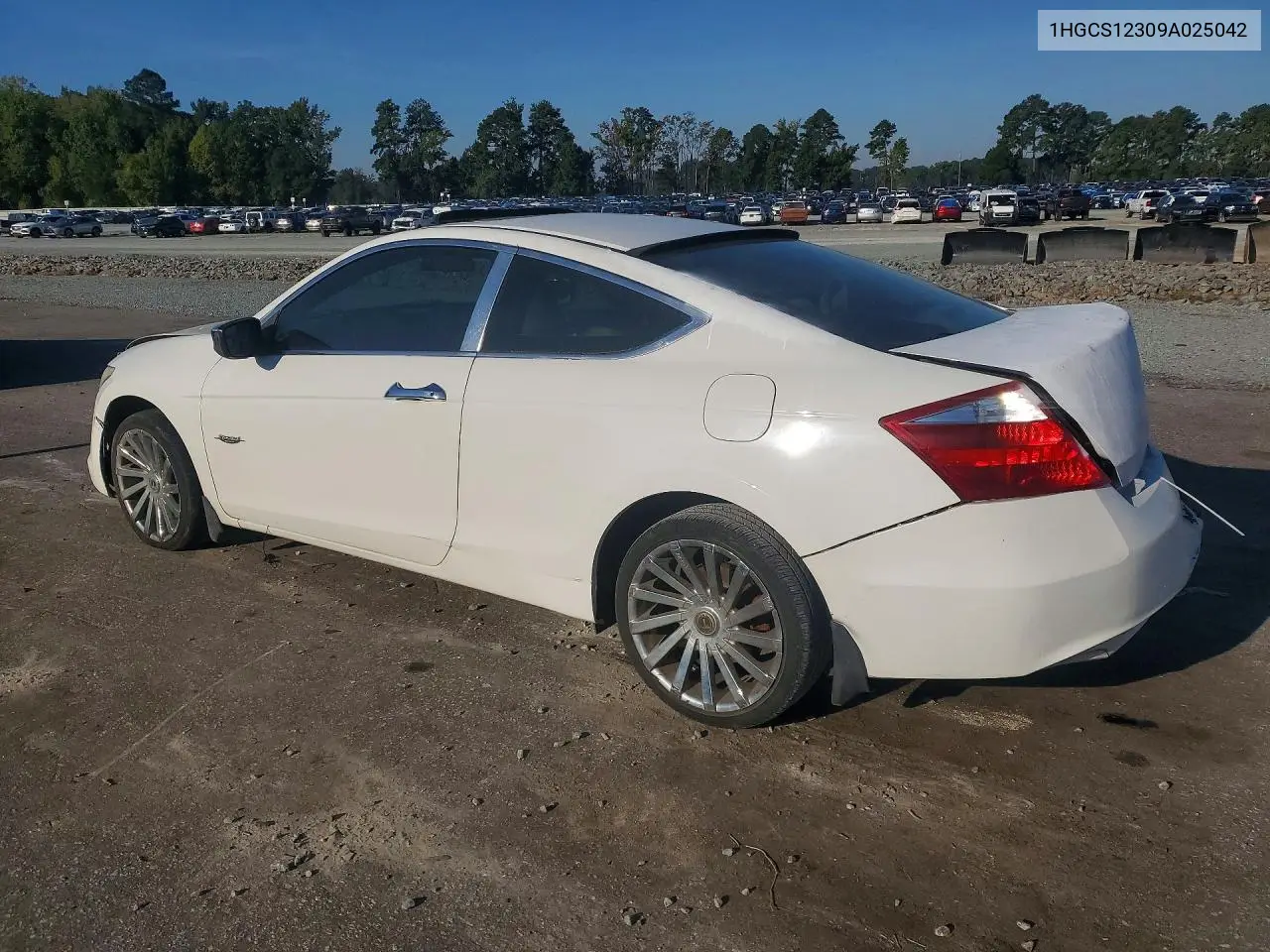 2009 HONDA ACCORD VIN 1HGCS12309A025042 — фото 2