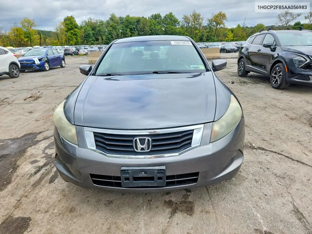 2010 HONDA ACCORD VIN 1HGCP2F85AA056983 — фото 5
