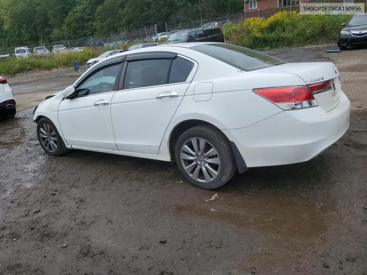 2012 HONDA ACCORD VIN 1HGCP2F79CA150956 — фото 2