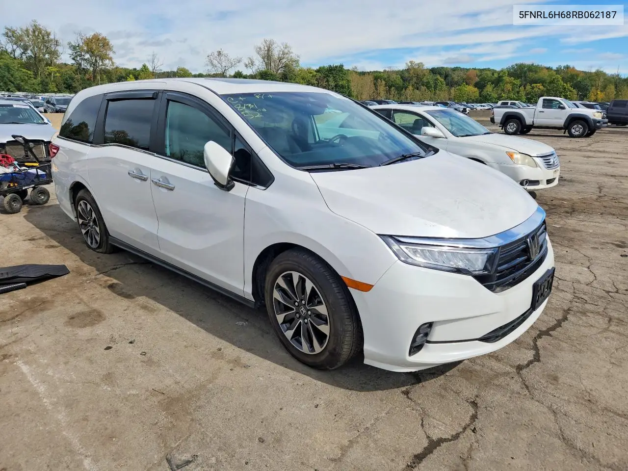 2024 HONDA ODYSSEY VIN 5FNRL6H68RB062187 — фото 4