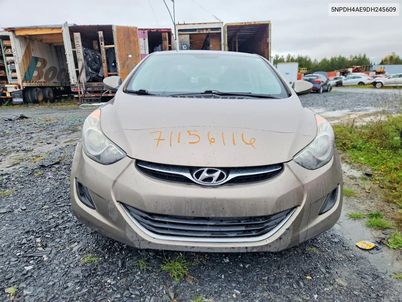 2013 HYUNDAI ELANTRA VIN 5NPDH4AE9DH245609 — фото 5