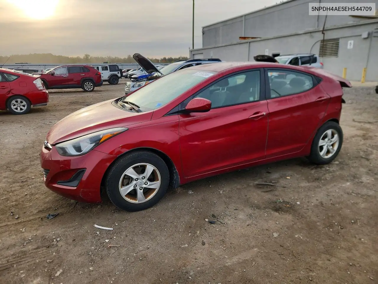 HYUNDAI ELANTRA 2014, VIN 5NPDH4AE5EH544709