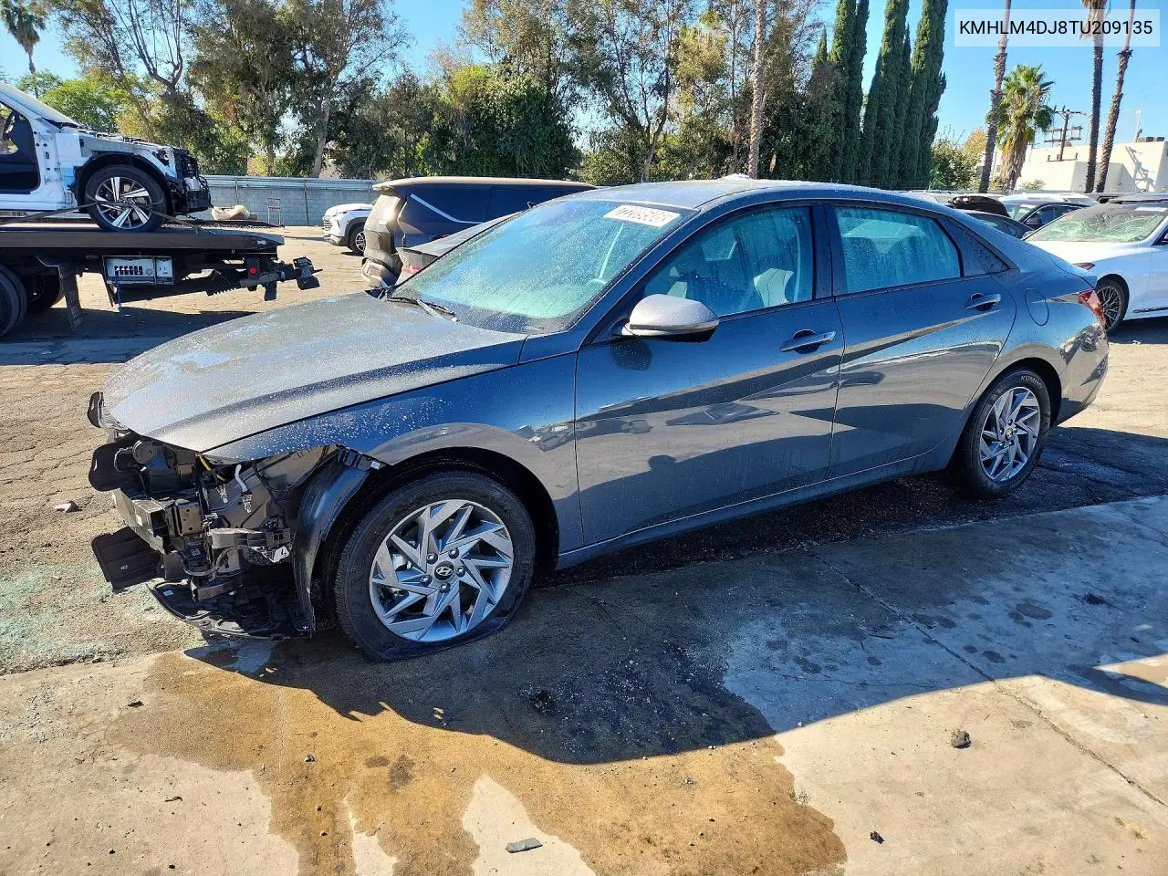 HYUNDAI ELANTRA 2026, VIN KMHLM4DJ8TU209135