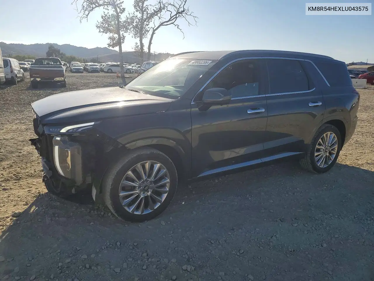 HYUNDAI PALISADE 2020, VIN KM8R54HEXLU043575