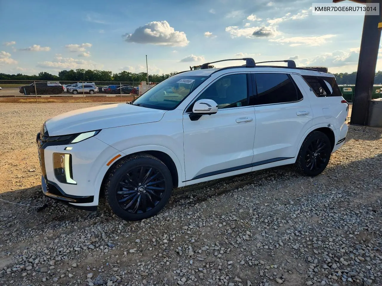 HYUNDAI PALISADE 2024, VIN KM8R7DGE6RU713014