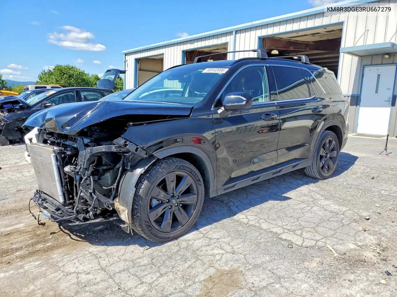 HYUNDAI PALISADE 2024, VIN KM8R3DGE3RU667279