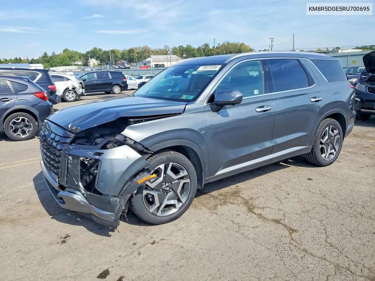 HYUNDAI PALISADE 2024, VIN KM8R5DGE5RU700695