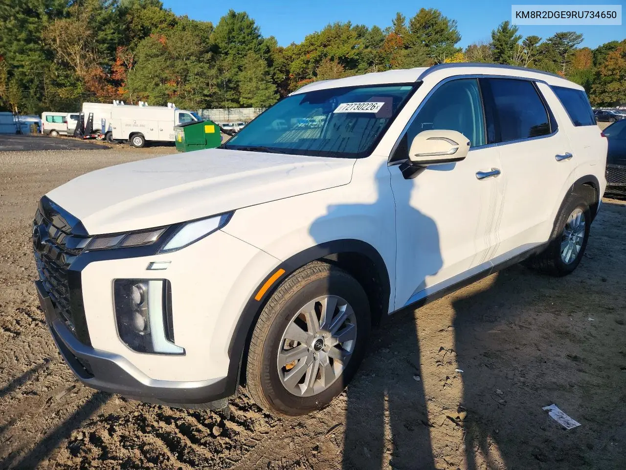 HYUNDAI PALISADE 2024, VIN KM8R2DGE9RU734650
