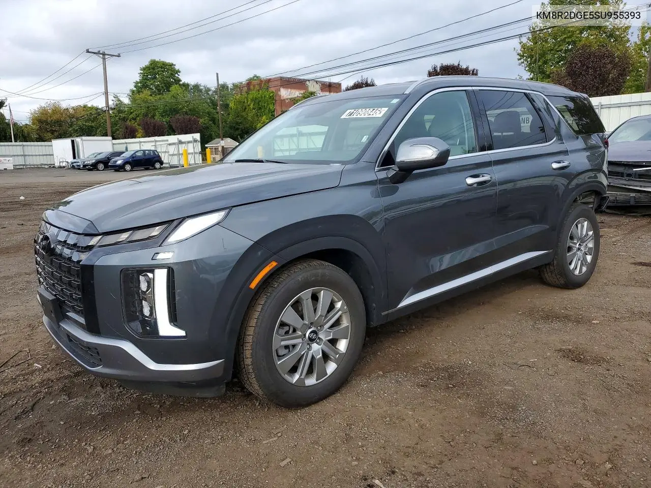HYUNDAI PALISADE 2025, VIN KM8R2DGE5SU955393
