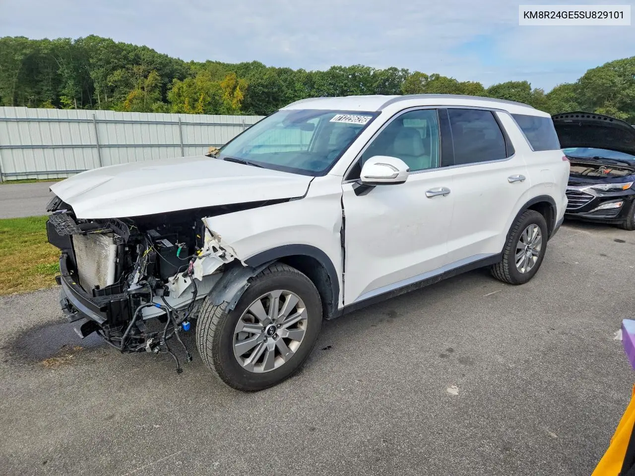 HYUNDAI PALISADE 2025, VIN KM8R24GE5SU829101