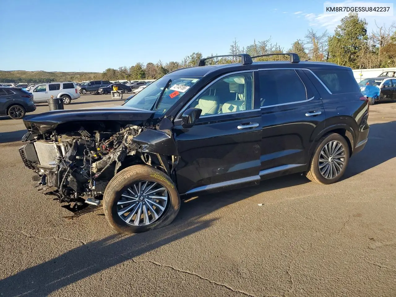HYUNDAI PALISADE 2025, VIN KM8R7DGE5SU842237