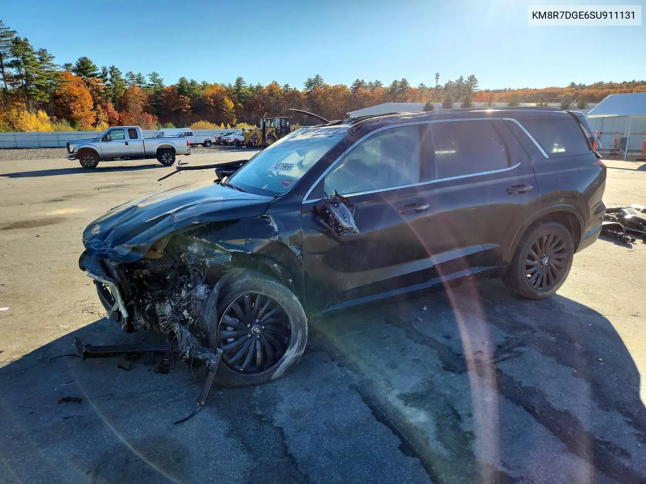 HYUNDAI PALISADE 2025, VIN KM8R7DGE6SU911131