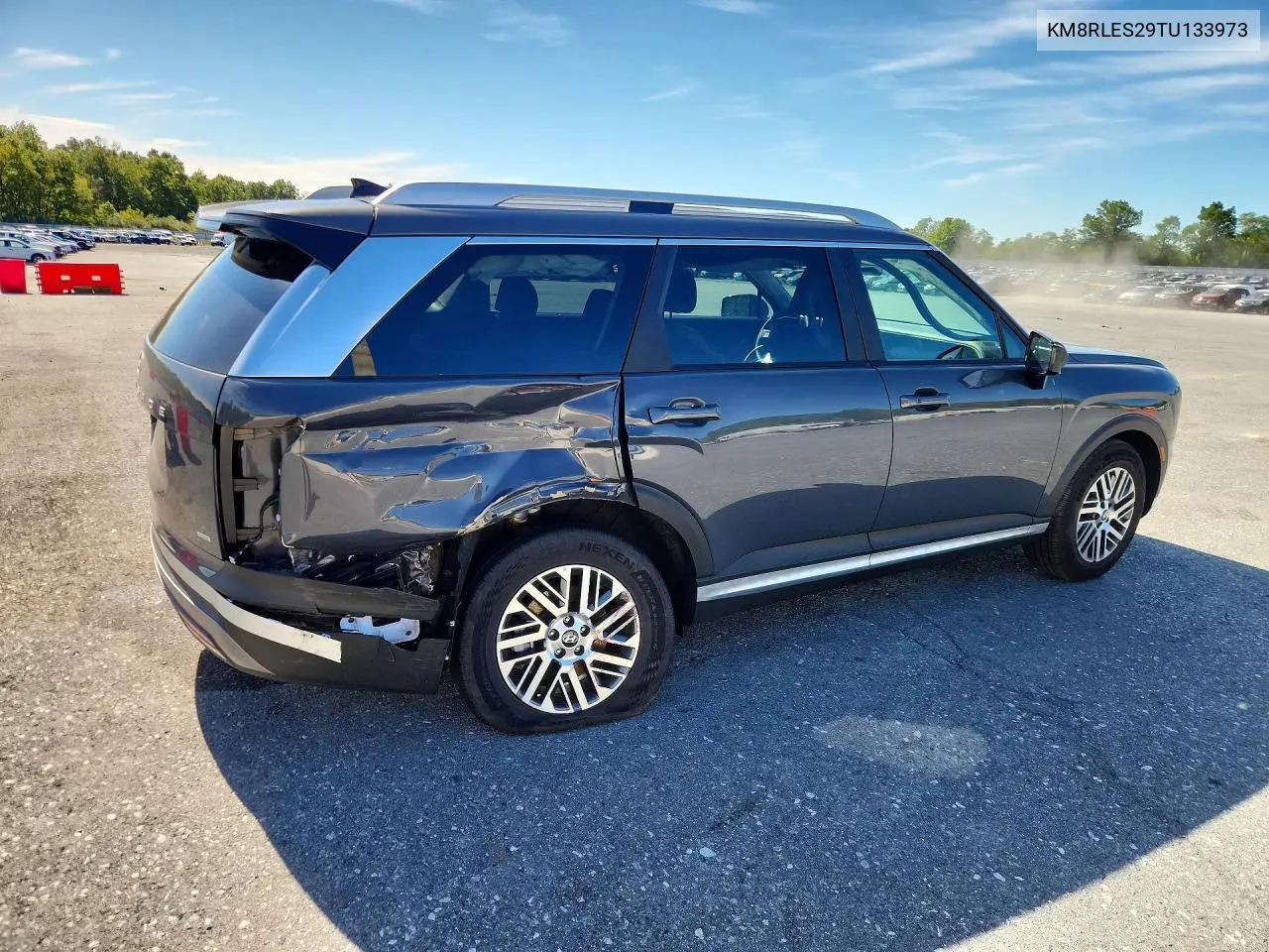 2026 HYUNDAI PALISADE VIN KM8RLES29TU133973 — фото 3