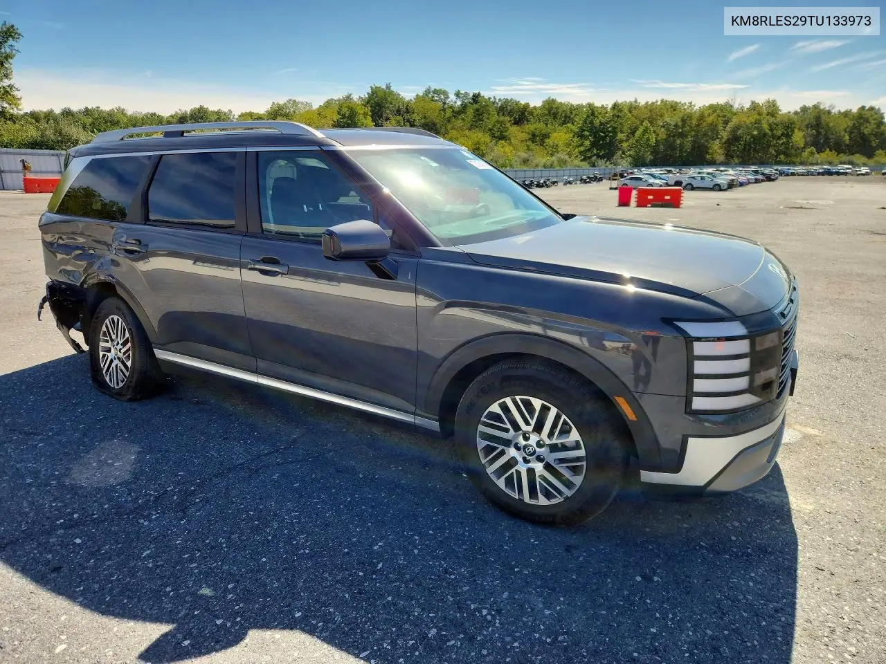 2026 HYUNDAI PALISADE VIN KM8RLES29TU133973 — фото 4