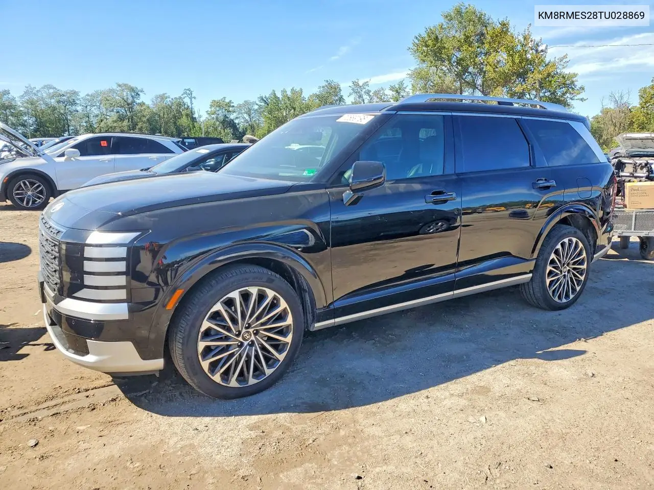 HYUNDAI PALISADE 2026, VIN KM8RMES28TU028869