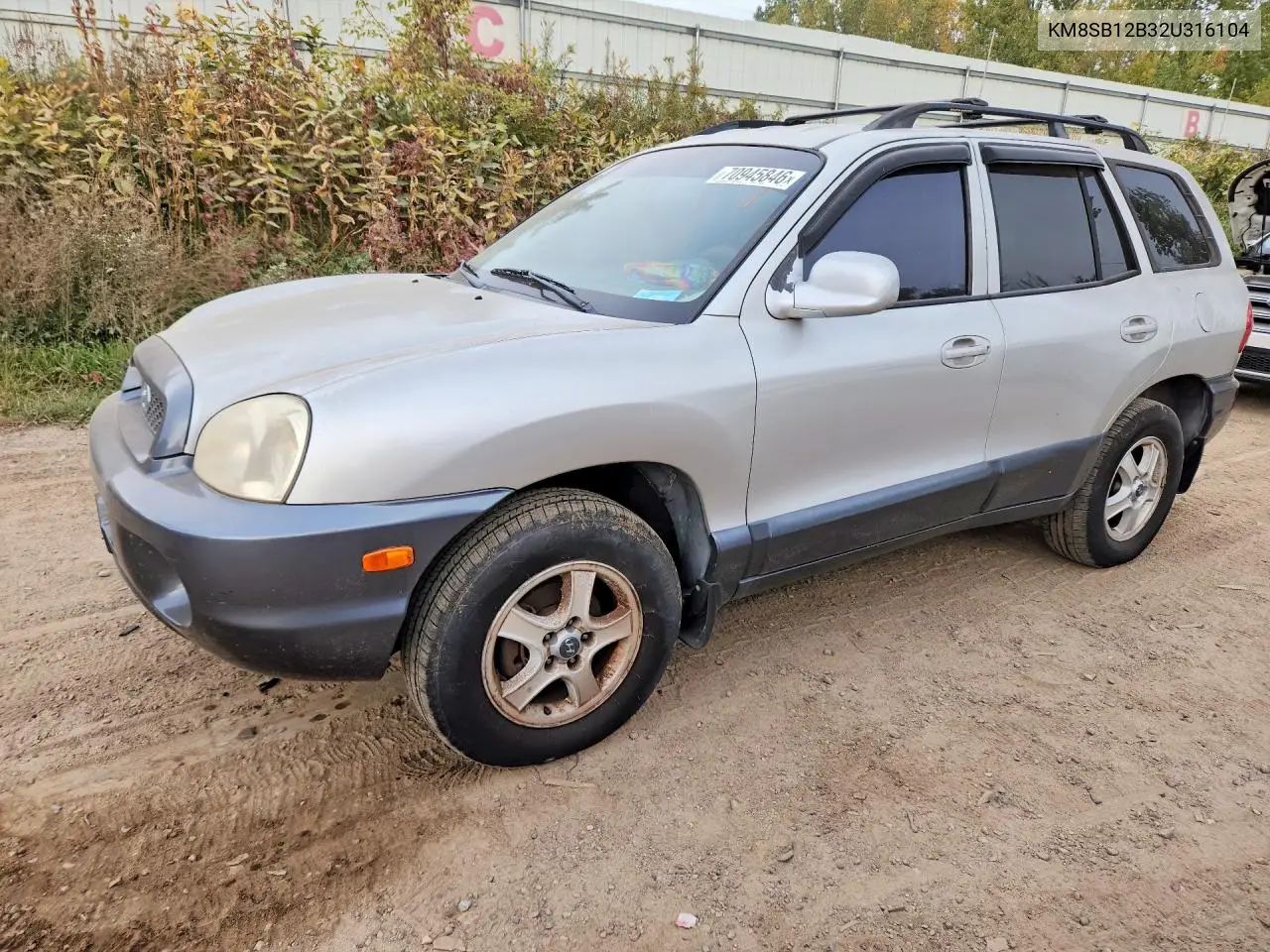 HYUNDAI SANTA FE 2002, VIN KM8SB12B32U316104