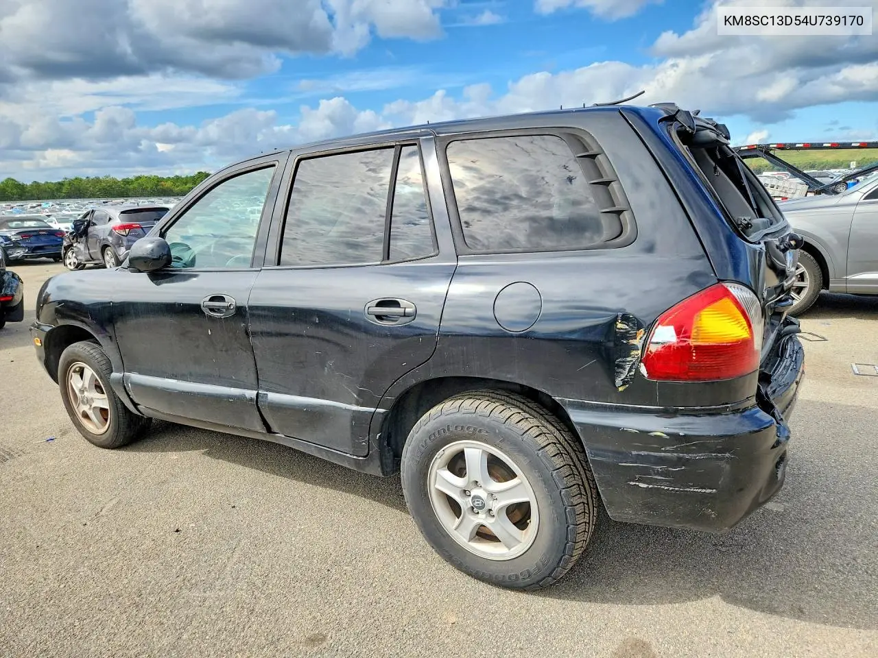2004 HYUNDAI SANTA FE VIN KM8SC13D54U739170 — фото 2