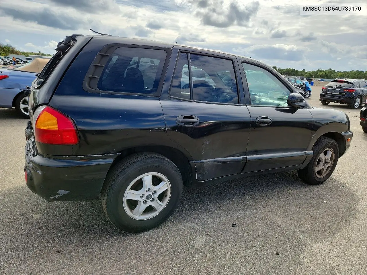 2004 HYUNDAI SANTA FE VIN KM8SC13D54U739170 — фото 3