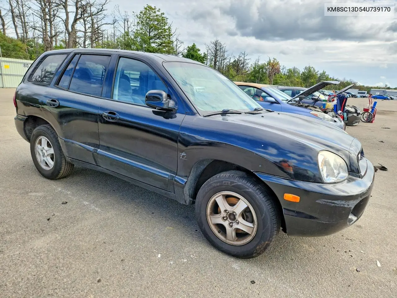 2004 HYUNDAI SANTA FE VIN KM8SC13D54U739170 — фото 4