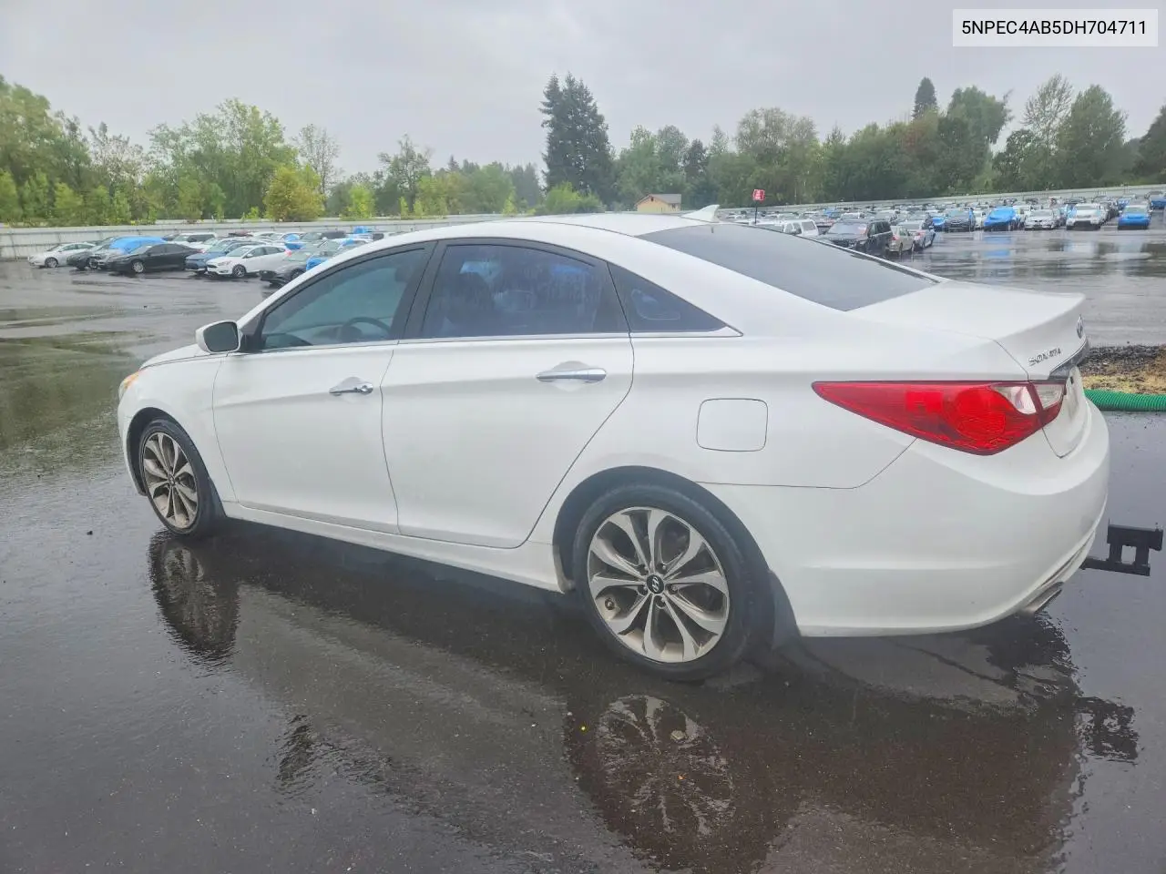 2013 HYUNDAI SONATA VIN 5NPEC4AB5DH704711 — фото 2