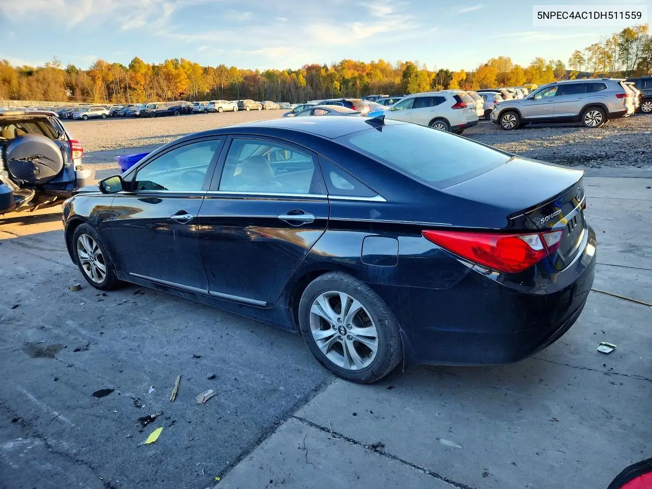 2013 HYUNDAI SONATA VIN 5NPEC4AC1DH511559 — фото 2