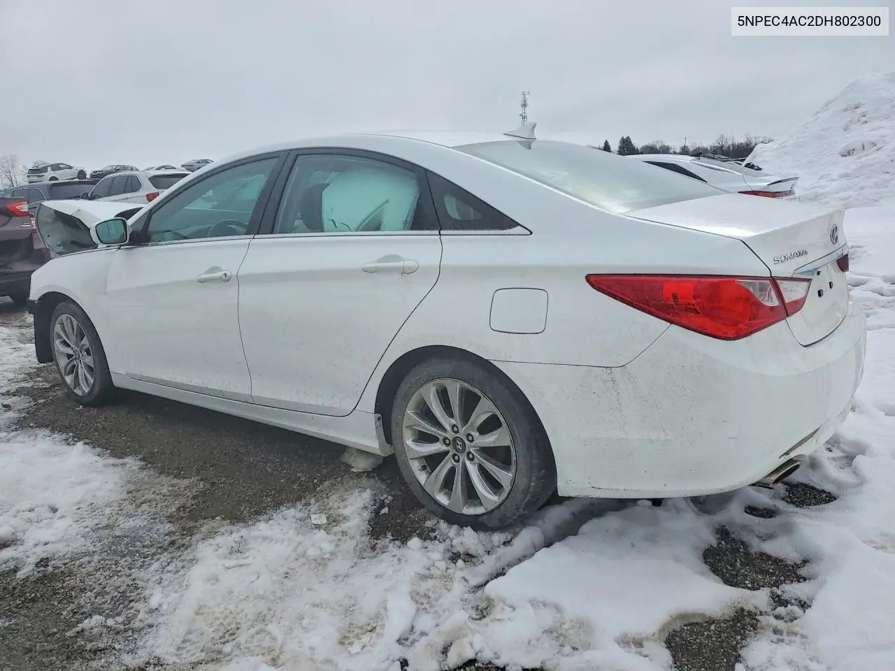 2013 HYUNDAI SONATA VIN 5NPEC4AC2DH802300 — фото 2