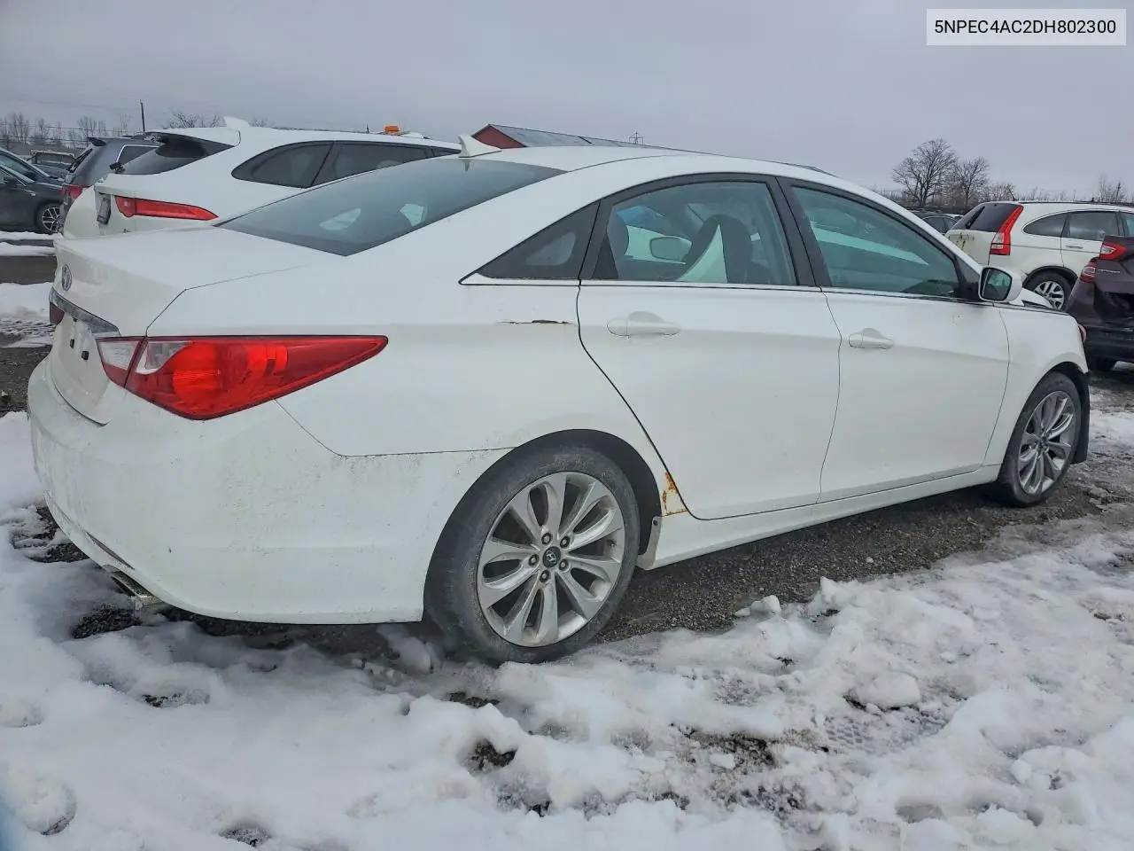 2013 HYUNDAI SONATA VIN 5NPEC4AC2DH802300 — фото 3
