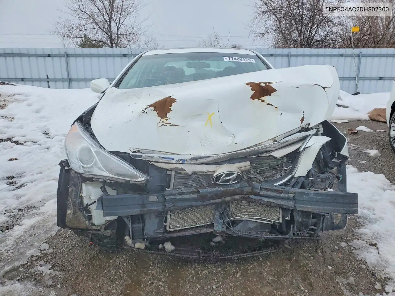 2013 HYUNDAI SONATA VIN 5NPEC4AC2DH802300 — фото 5