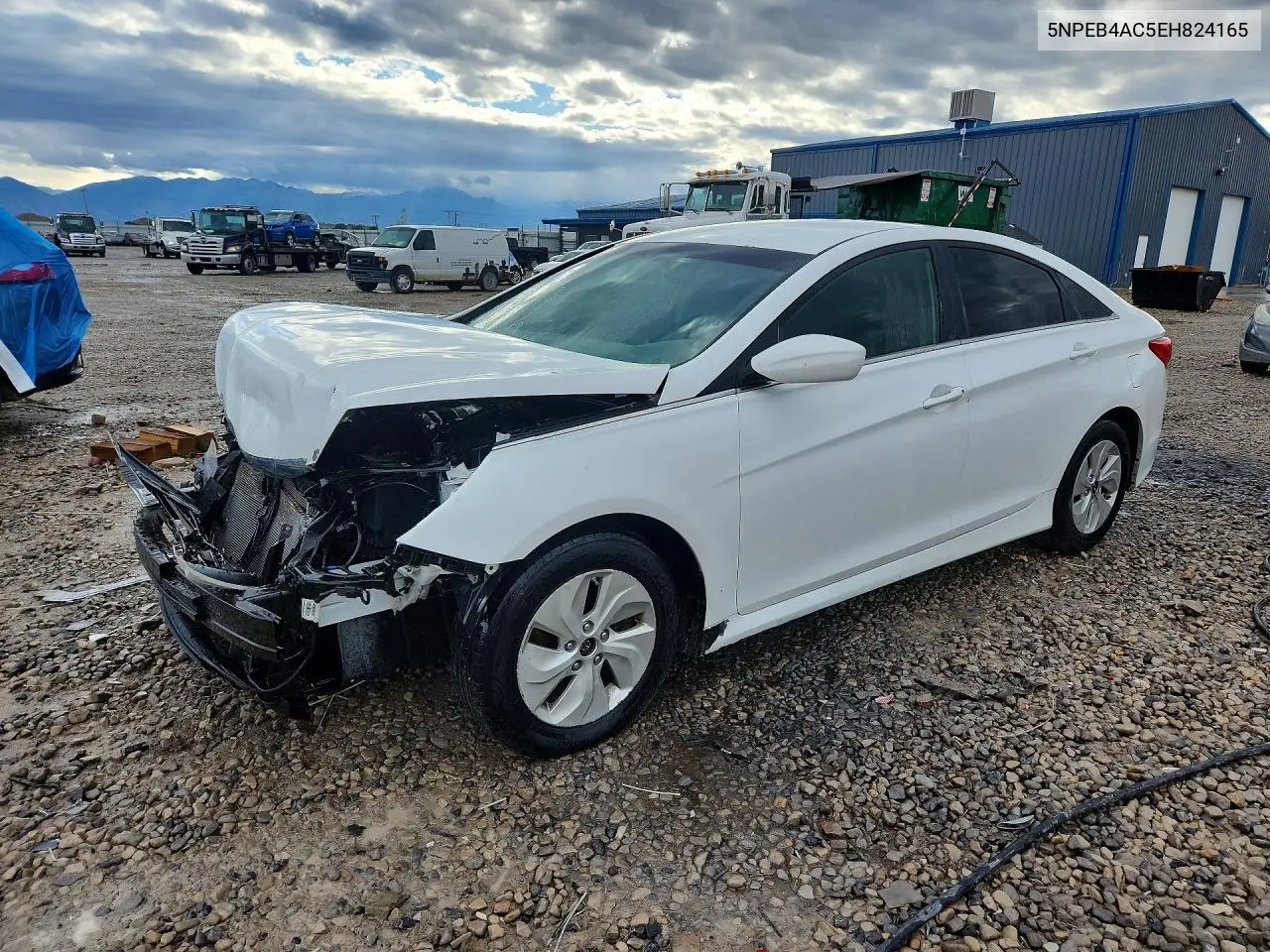 HYUNDAI SONATA 2014, VIN 5NPEB4AC5EH824165