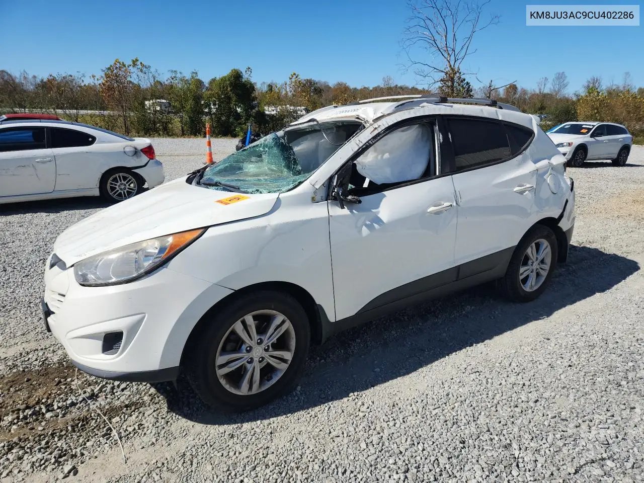 HYUNDAI TUCSON 2012, VIN KM8JU3AC9CU402286